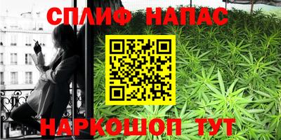 мяу мяу мука Будённовск